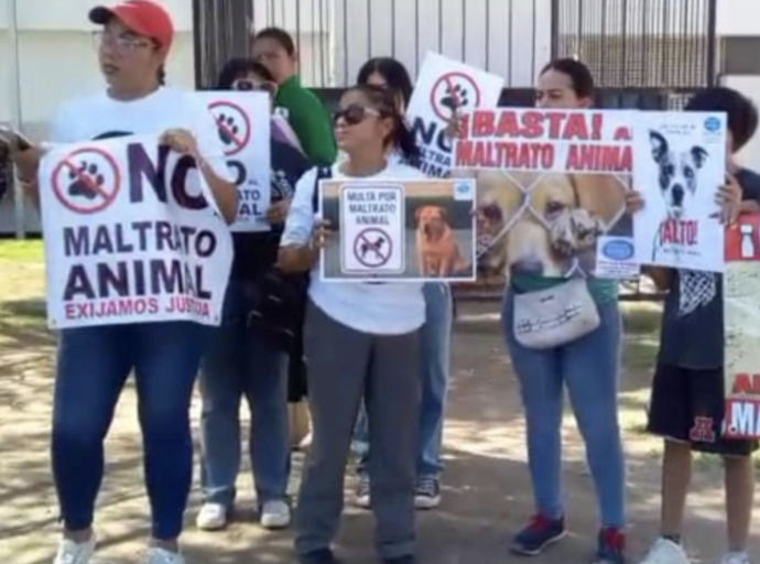 Bochornosa Estupidez Humana